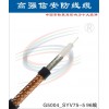 東莞電線廠批發GQX視頻監控線SYV75-5