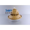 XQDSBD6102免維護(hù)節(jié)能防水防塵防腐燈
