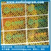 金色全息標簽、揭開防偽商標，刮開防偽標貼，刮開鐳射商標
