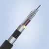 雙鎧雙護套光纜