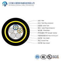 全介質自承式光纖光纜 8芯ADSS光纜