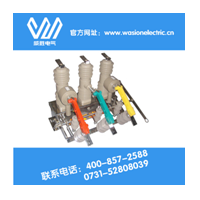 柱上智能真空斷路器 ZW32 ZW20安全又專業威勝電氣